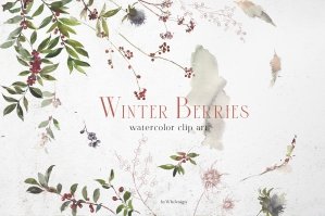 Winter Berries Watercolor Clipart