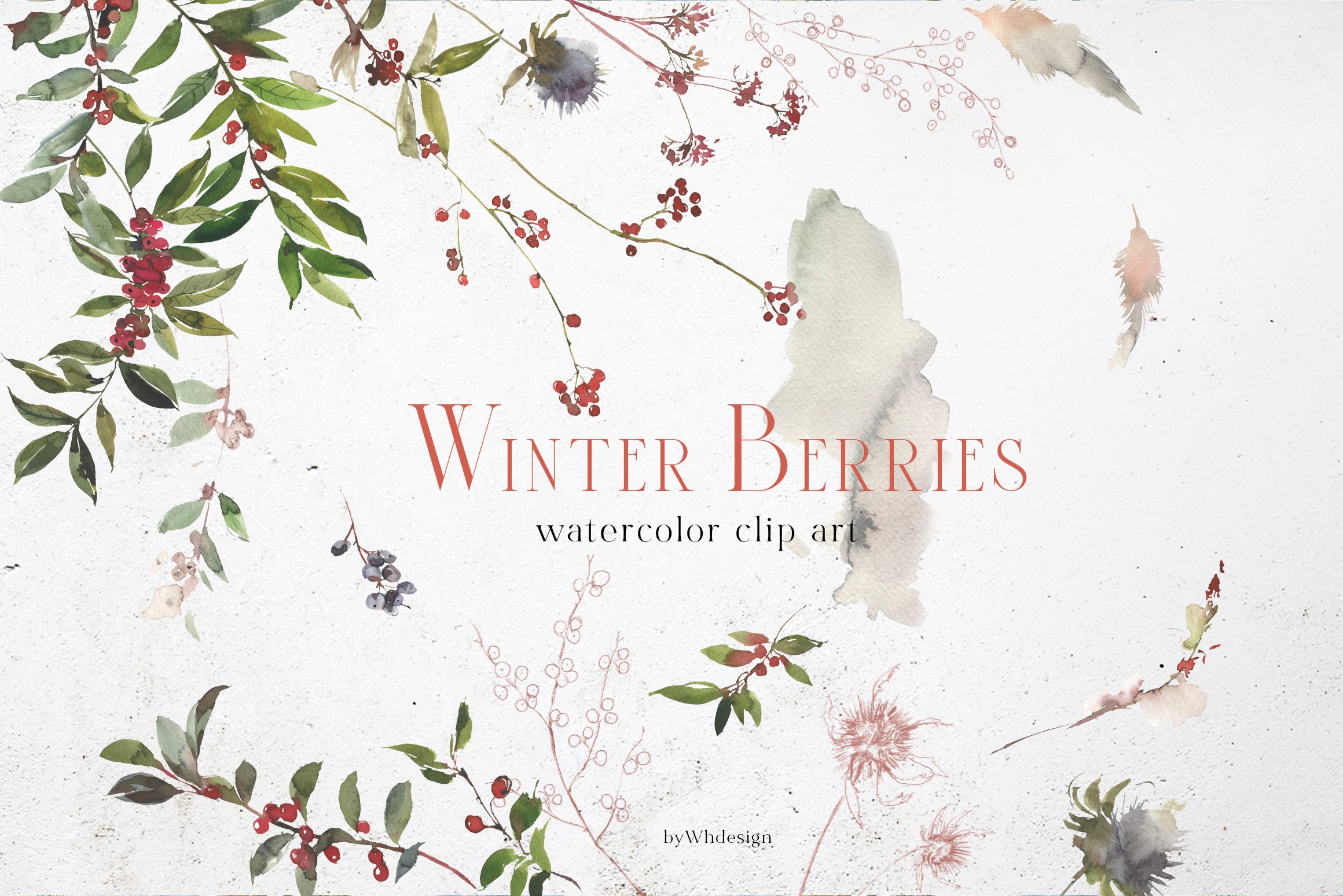 Winter Berries Watercolor Clipart