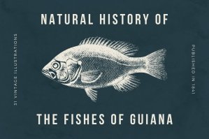 The Fishes of Guiana
