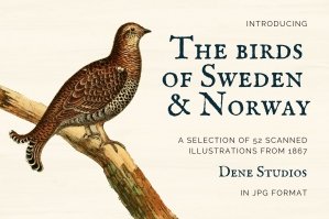 The Birds of Sweden and Norway