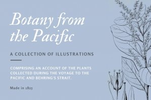Botany from the Pacific