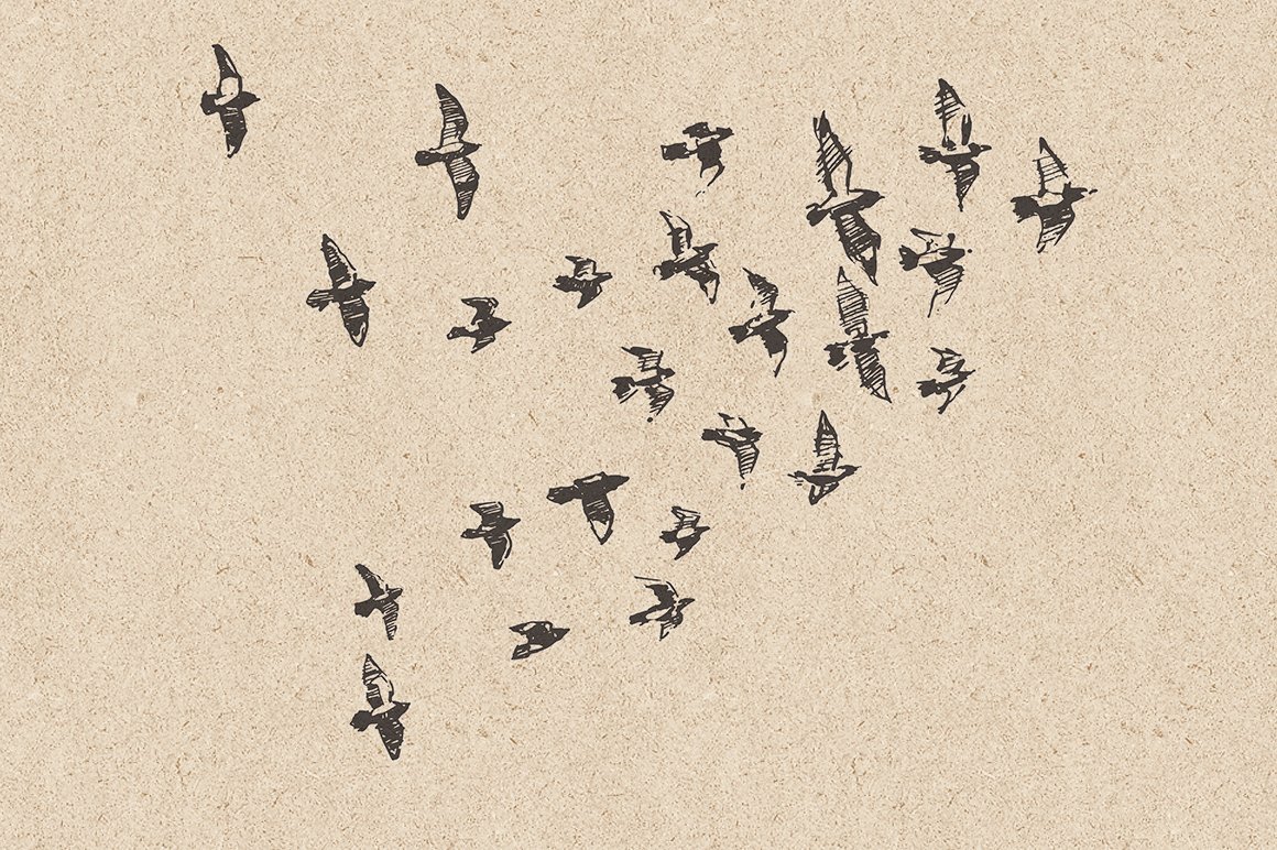 Flocks of Birds, Sketch Style - Design Cuts
