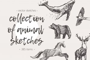 Huge Collection of Animal Drawings