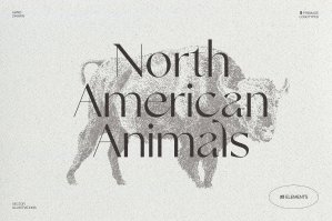 Sketches of Animals of North America