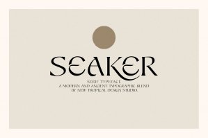 Seaker - Serif Typeface