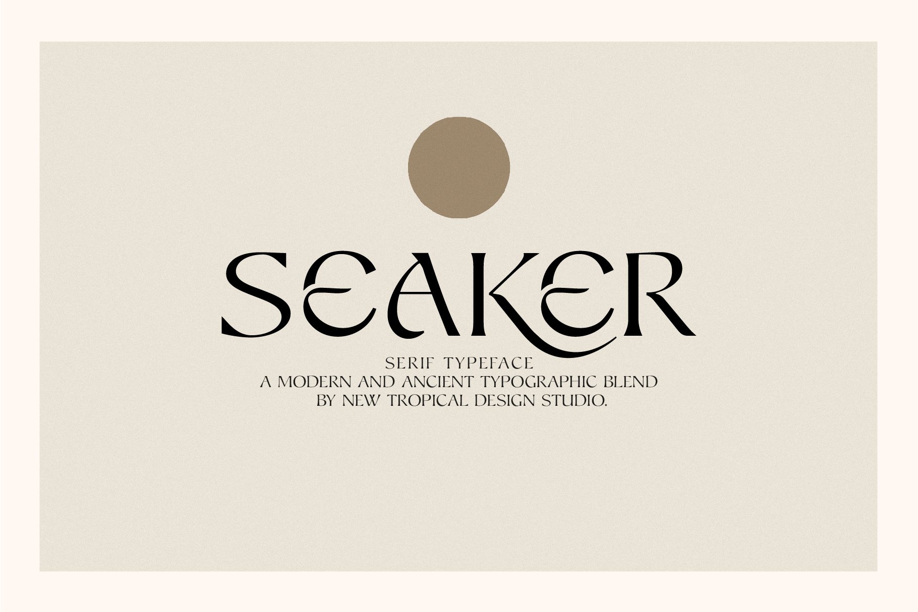 Seaker - Serif Typeface - Design Cuts