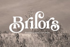 Brilors Serif