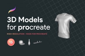 3D Models For Procreate Bundle