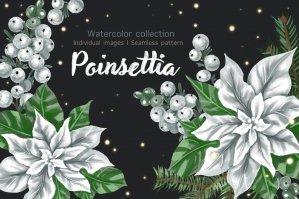 Watercolour Christmas Poinsettia