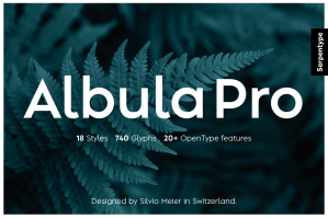 Albula Pro - A Contemporary Geometric Sans