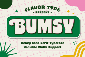 Bumsy Fancy Sans Serif