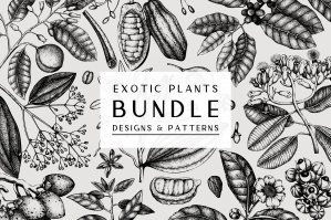 Exotic Plants Designs & Patterns