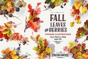 Fall Leaves and Berries Vintage Illustrations