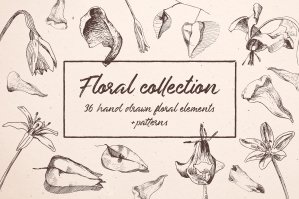 Hand Drawn Floral Collection Pack