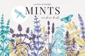 Mints Modern Herbs Collection