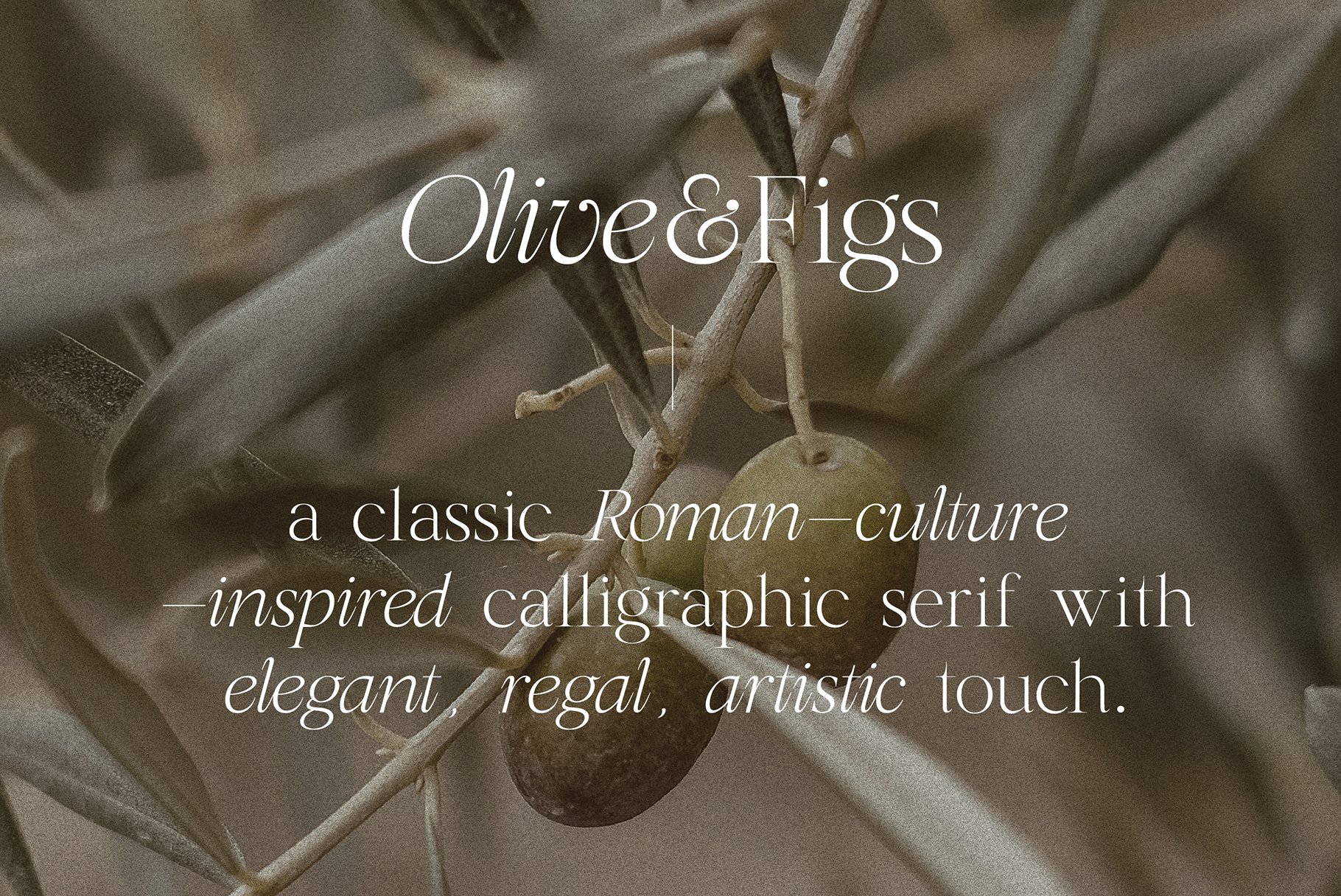 Olive & Figs - Regal Classic Serif