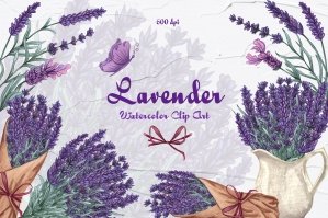 Lavender Watercolor Clipart