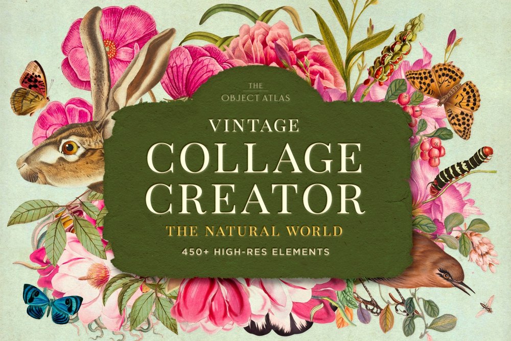 Vintage Collage Creator: The Natural World