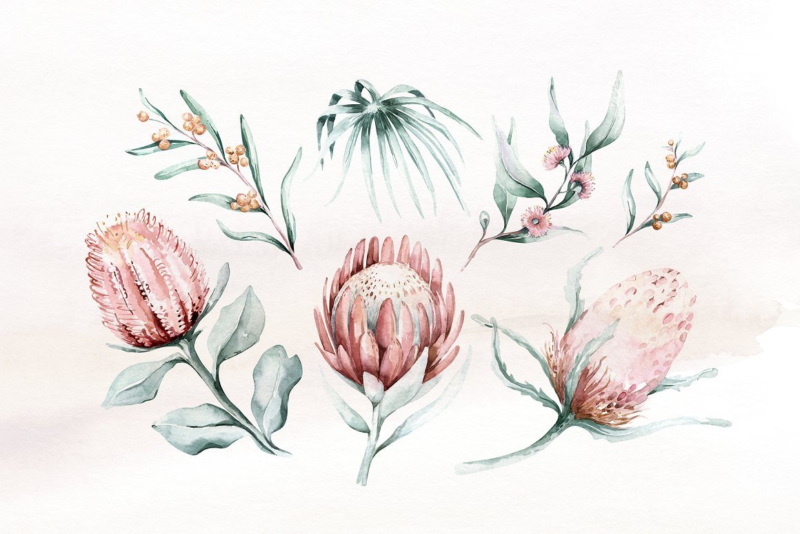 Australian Animals Watercolor Set - Design Cuts