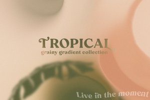 Tropical Grainy Gradient Collection