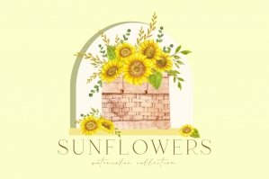 Sunflower Watercolor Collection