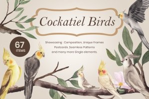 Cockatiel Birds Watercolor