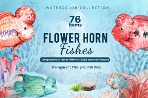 Flower Horn Fishes Watercolor