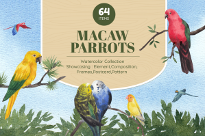 Macaw Parrots Watercolor