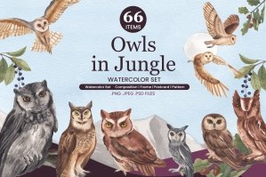 Owls in Jungle Watercolor