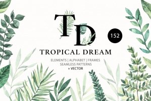 Tropical Dream Watercolor Kit