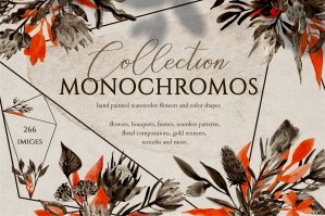 Monochrome Floral Collection