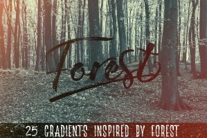 The Forest - 25 Gradients