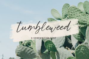 Tumbleweed Script