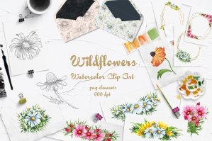 Wildflowers Watercolor Clip Art