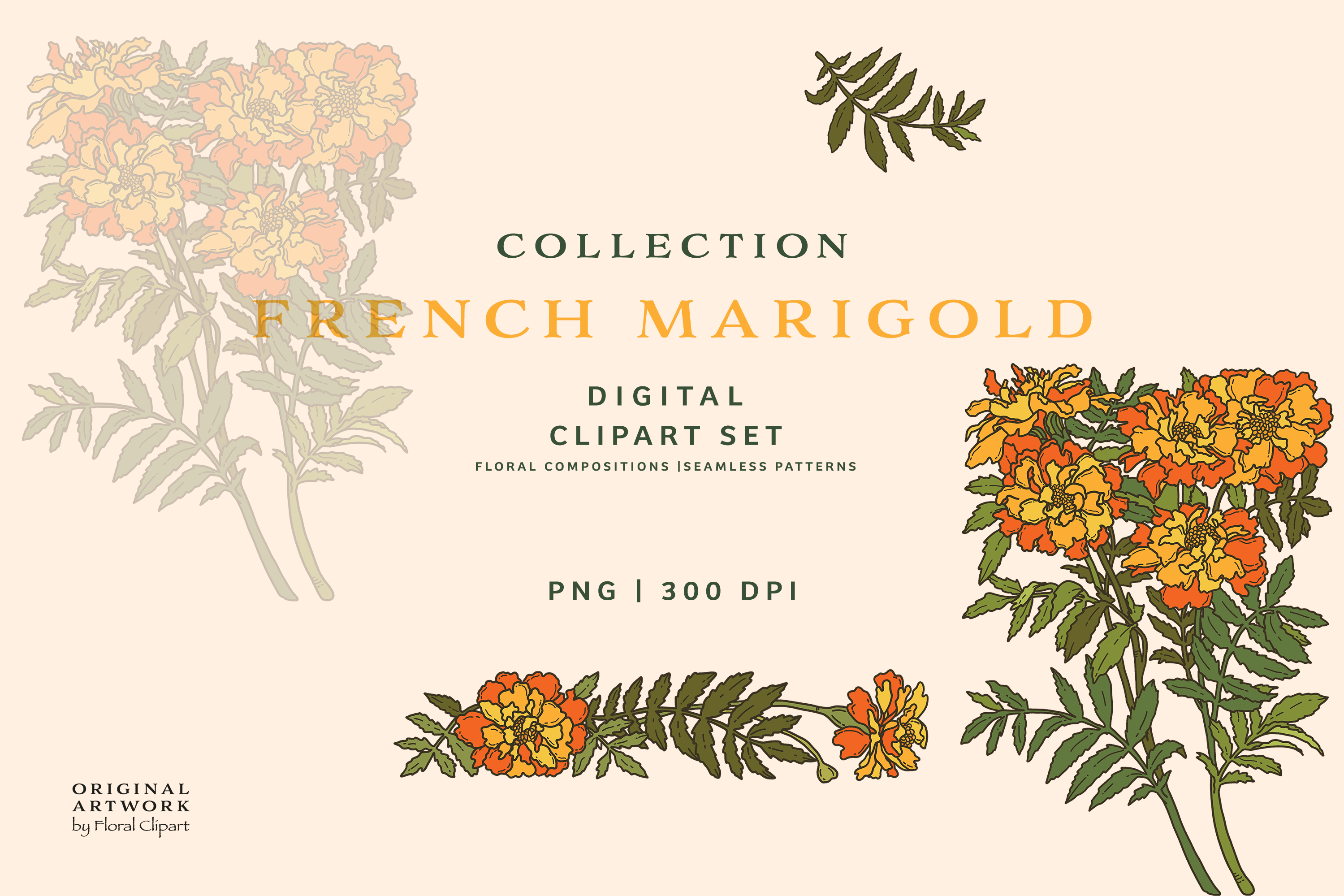 marigold clipart