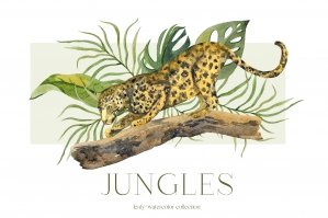 Jungles Leafy-Watercolor Collection