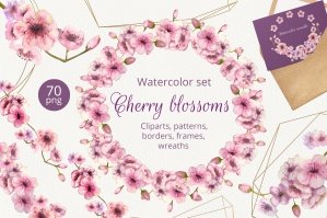Cherry Blossoms Watercolour Set