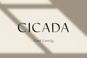Cicada Font Family