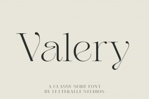 Valery Modern Aesthetic Serif Font