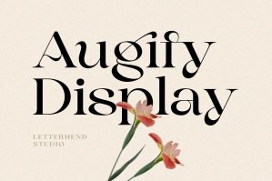 Augify Display
