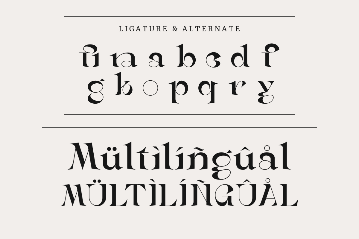 Seraya - Contemporary Serif Font - Design Cuts