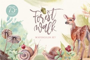 Forest Walk Watercolor Set