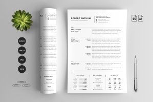 Clean Two Page Resume - CV