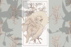 Love Song - Birds Fine Art Collection