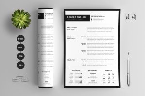 Two Page Clean Resume - CV