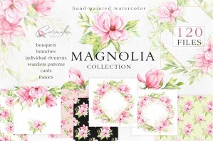 Watercolor Magnolia Collection