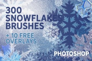 Snowflakes Brushes & Free Overlays
