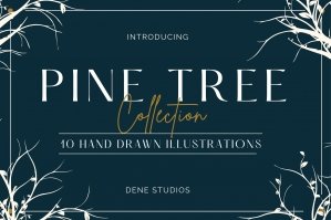 Hand Drawn Pine Tree Sketches