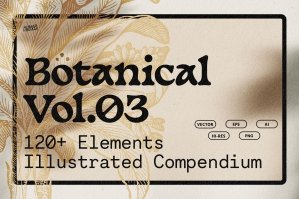 Botanical Illustrations Volume 3