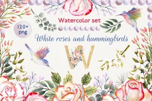 Watercolor Set Roses And Hummingbird